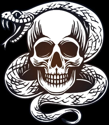 Black Flag