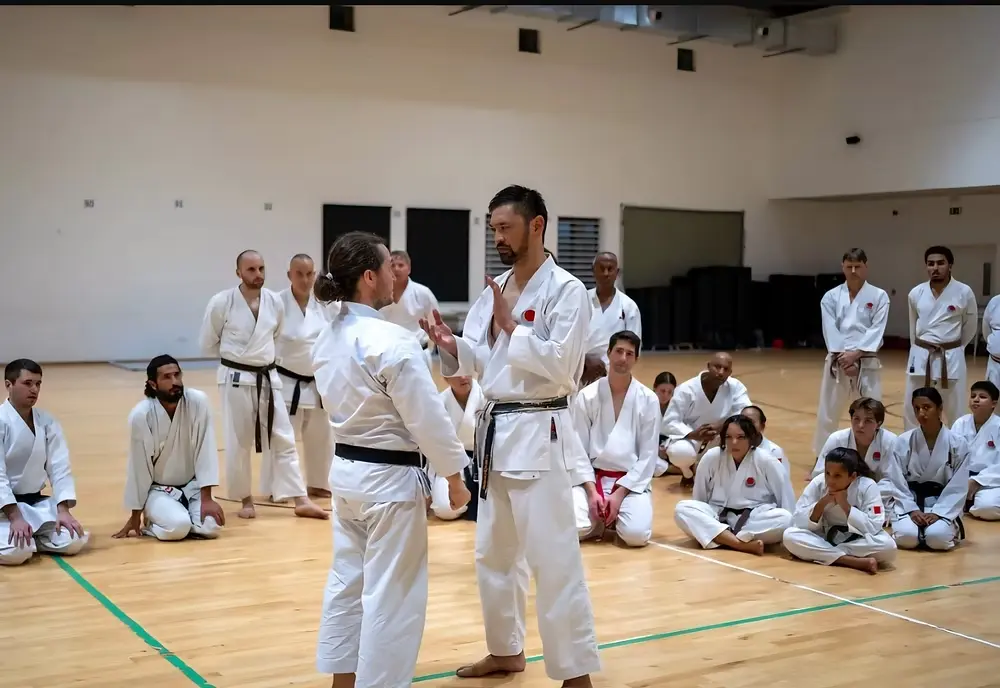 Advanced training insights from Sensei Shimizu (6th Dan, Honbu)