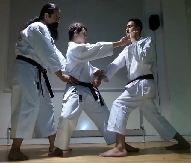 Exclusive seminar with Sensei Mahmoud R Tashvishi