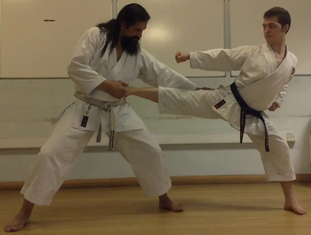 Technique focus with the esteemed Sensei Tashvishi