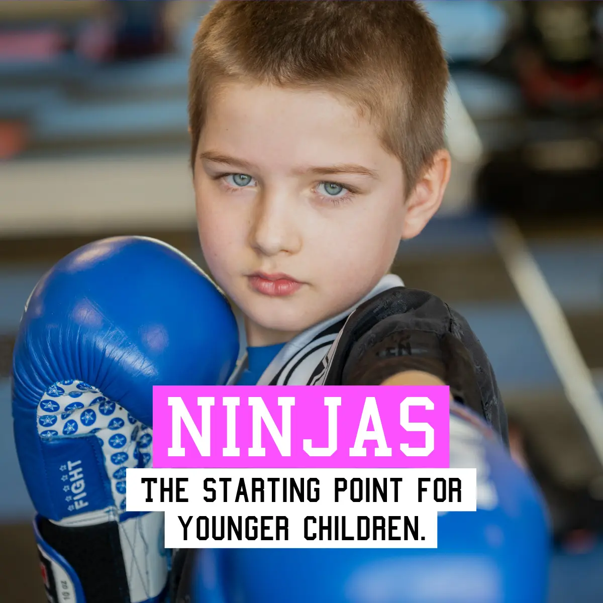 Ninjas Ninjas