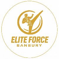 EFB Circle Logo